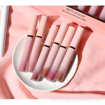 6 Colors Pink Lipstick Gold Liquid Lipstick set